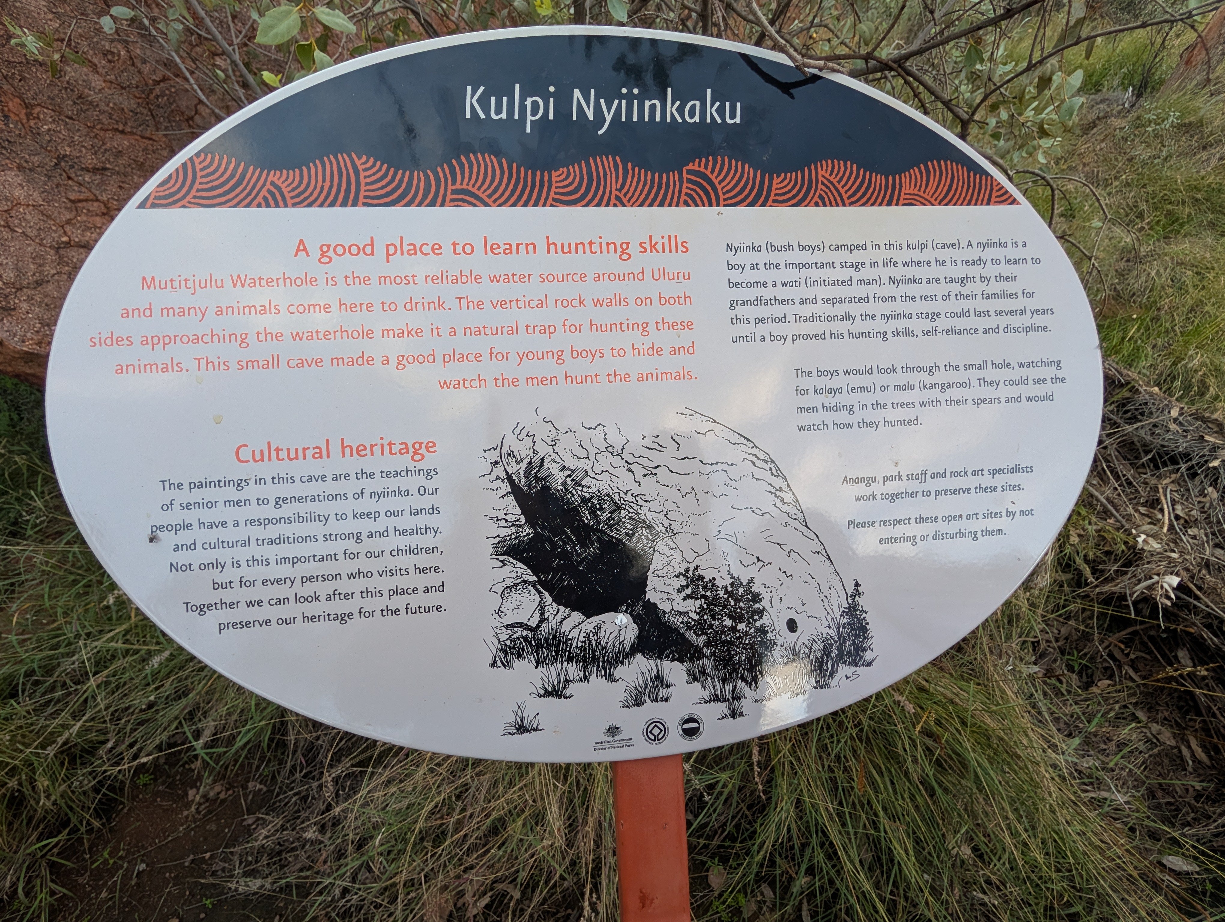 PXL_20260325_073057263