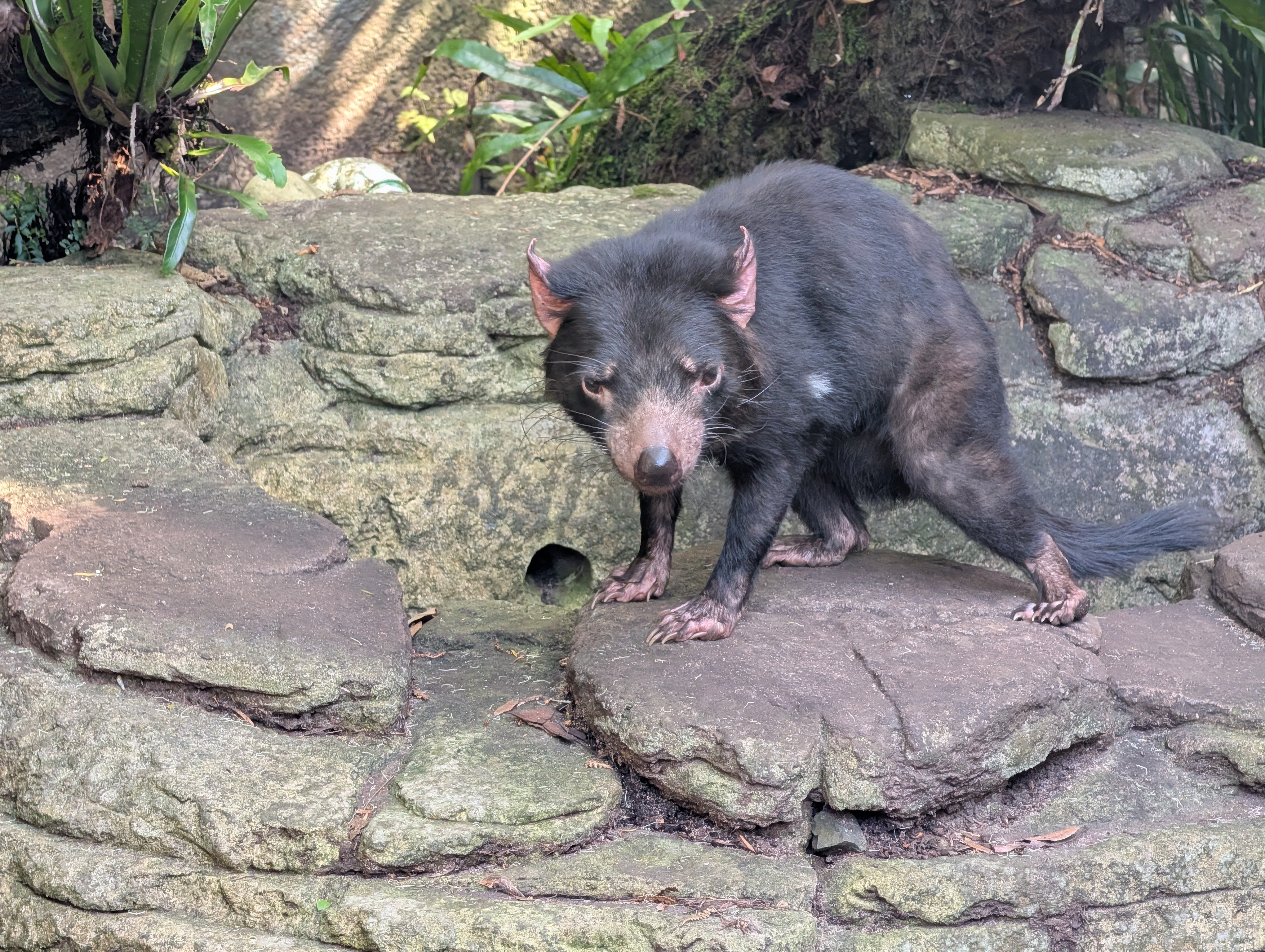 PXL_20260328_000028034