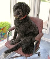 Astro our first CEO