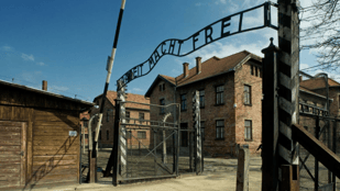 auschwitz fot. Paweł Mazur