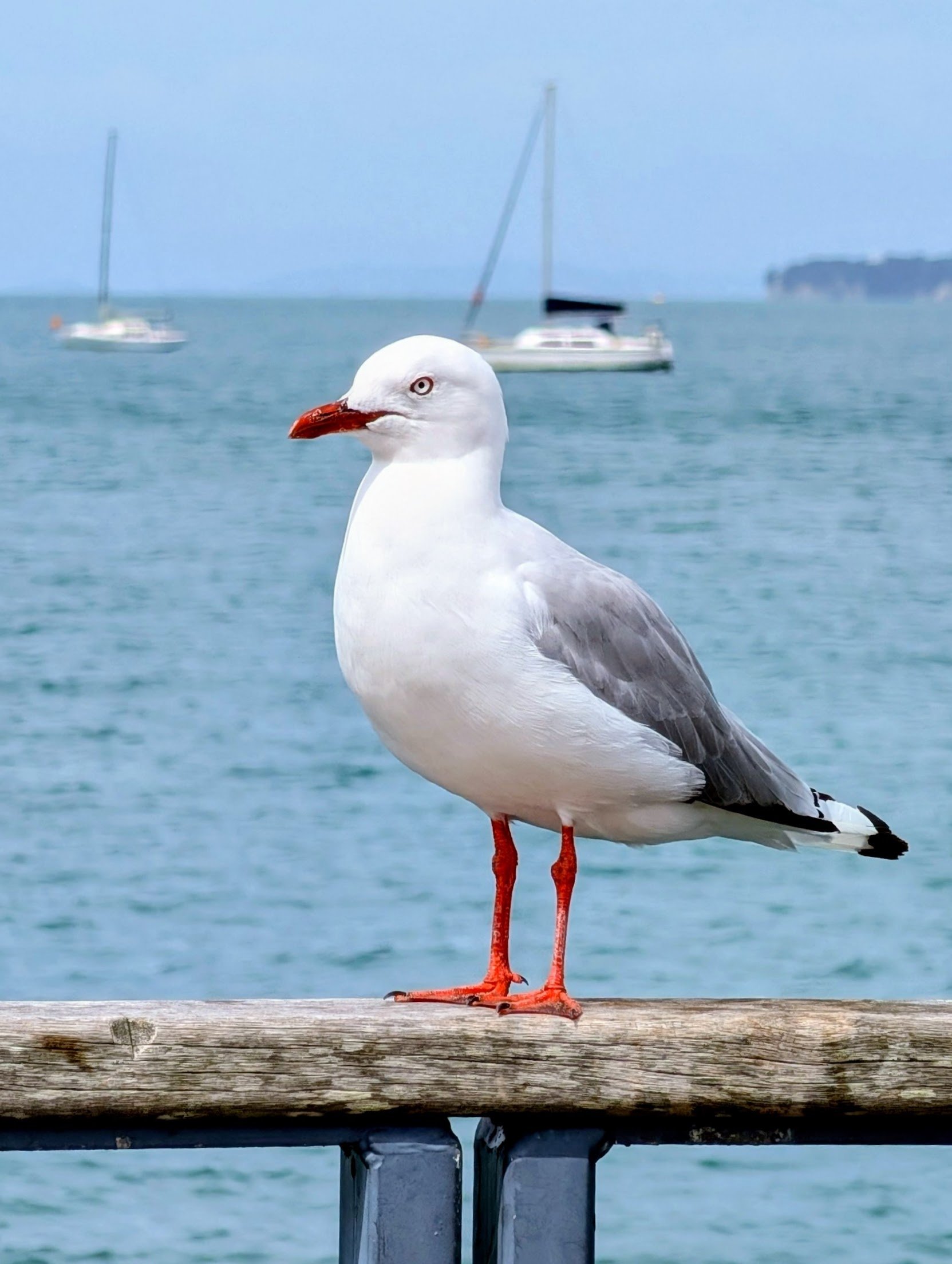 original_99092f24-1c2c-4256-9433-b43b92bec369_PXL_20260226_021516939~2 (1)