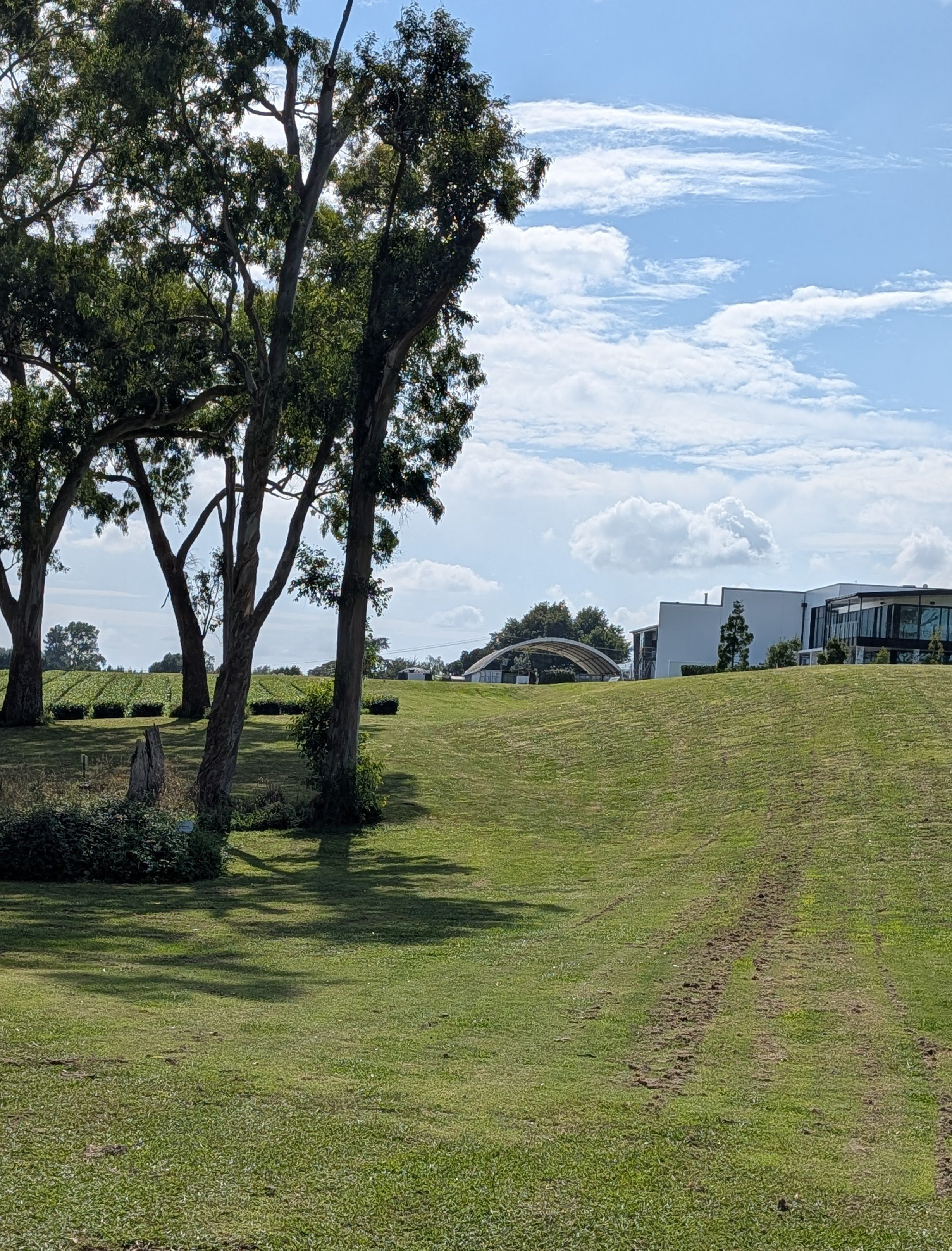 original_a1fcfff1-76a2-4c87-8aa2-1a58560fa1e7_PXL_20260228_214551390