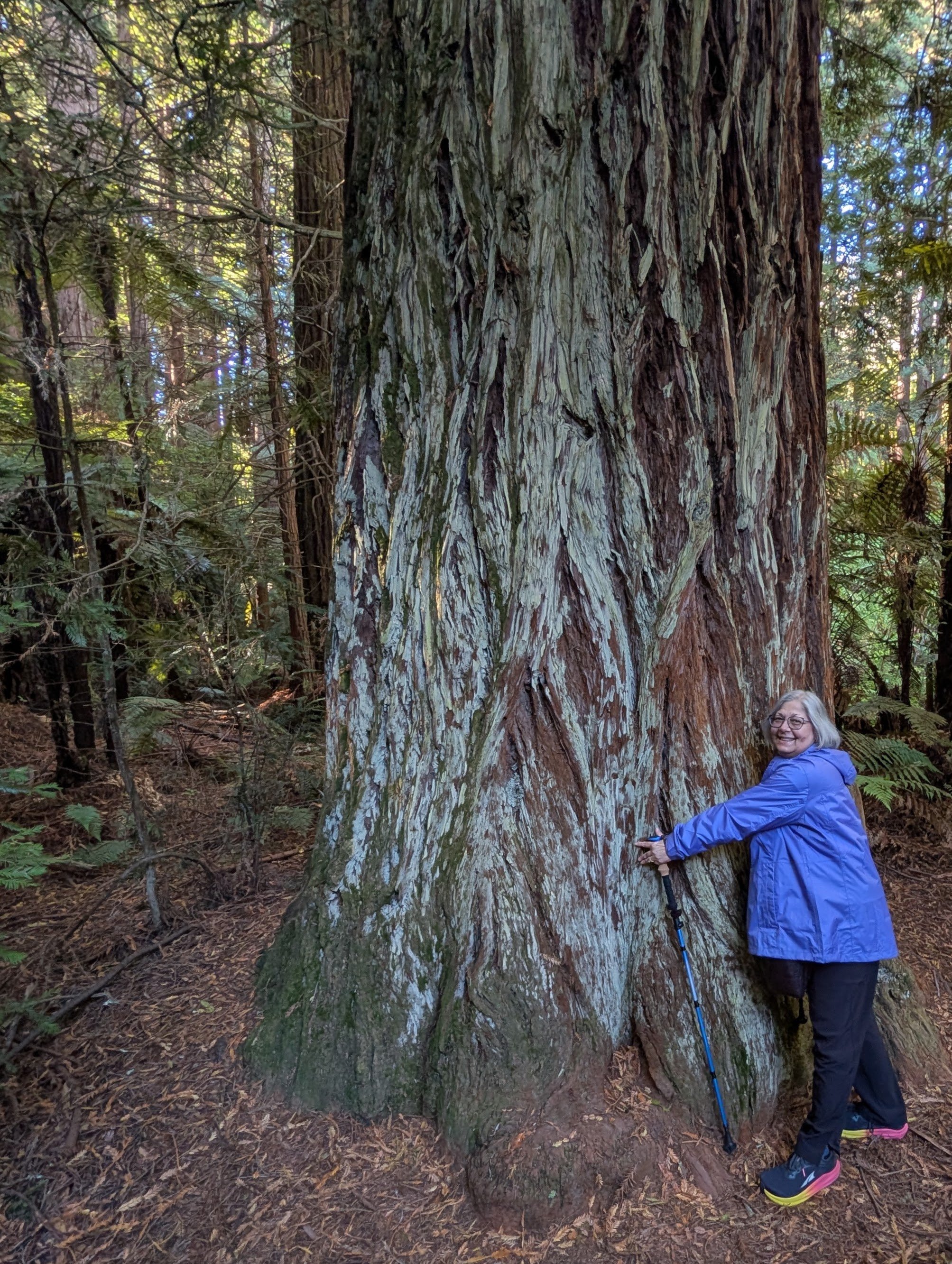 original_c2f7ae5c-4a0b-4304-964a-fe9b1e2f6dc0_PXL_20260302_202712903.MP