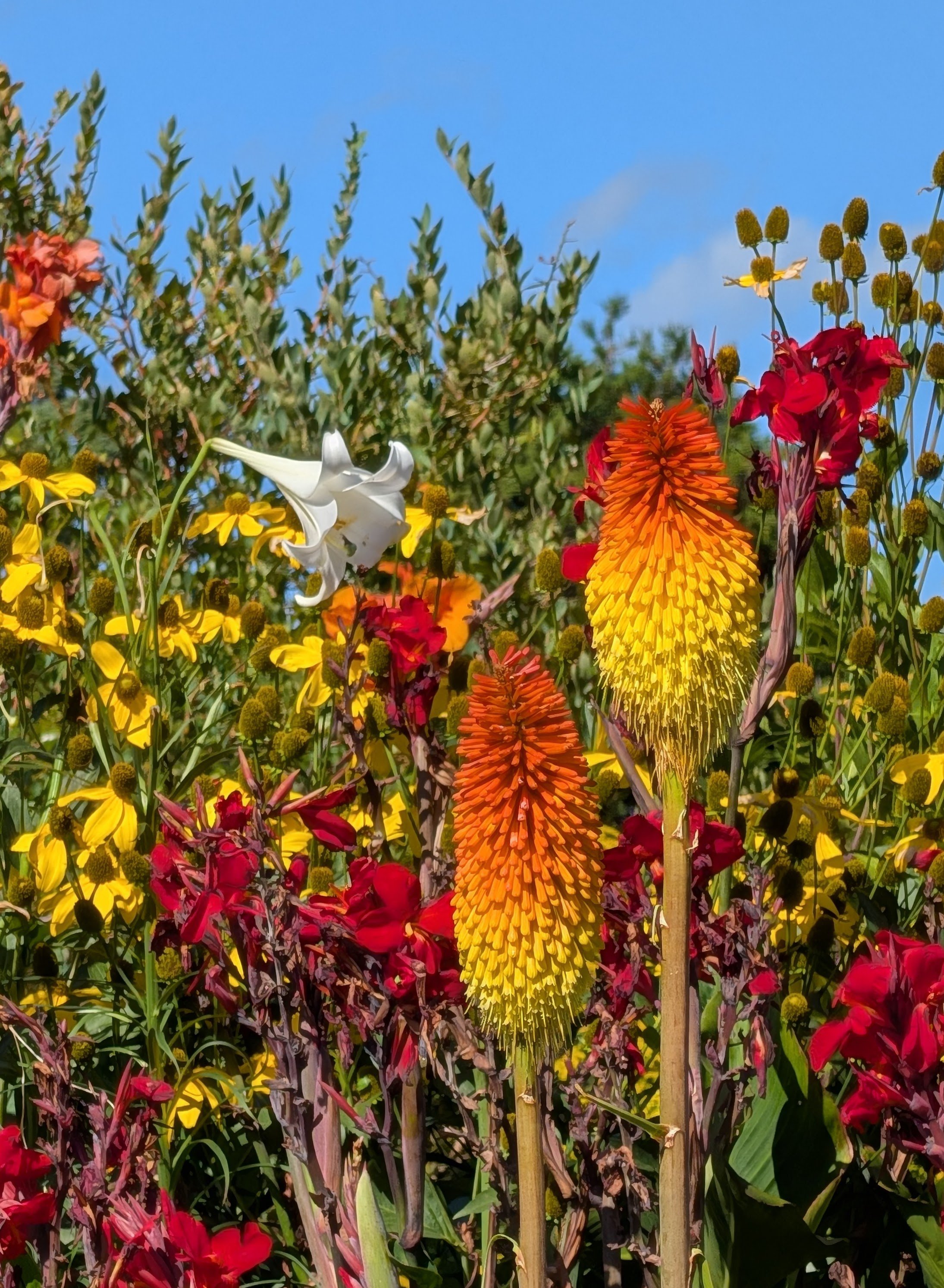 original_f1883041-4101-4457-a1d8-0371f1cdfb16_PXL_20260302_213112409