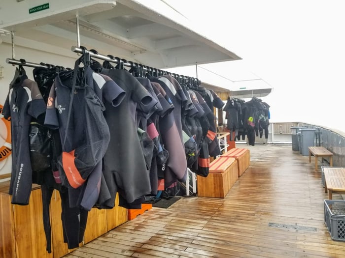 wetsuits drying