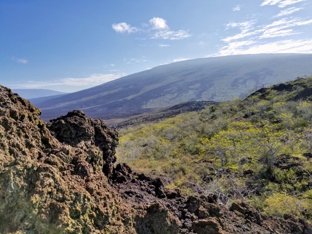 Go Astro Travel travels to the Galapagos.  Birding hike