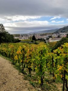 Hiking Chapoutier vineyard